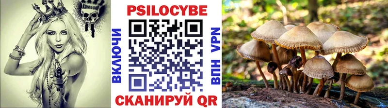 Галлюциногенные грибы GOLDEN TEACHER  магазин продажи   Шацк 
